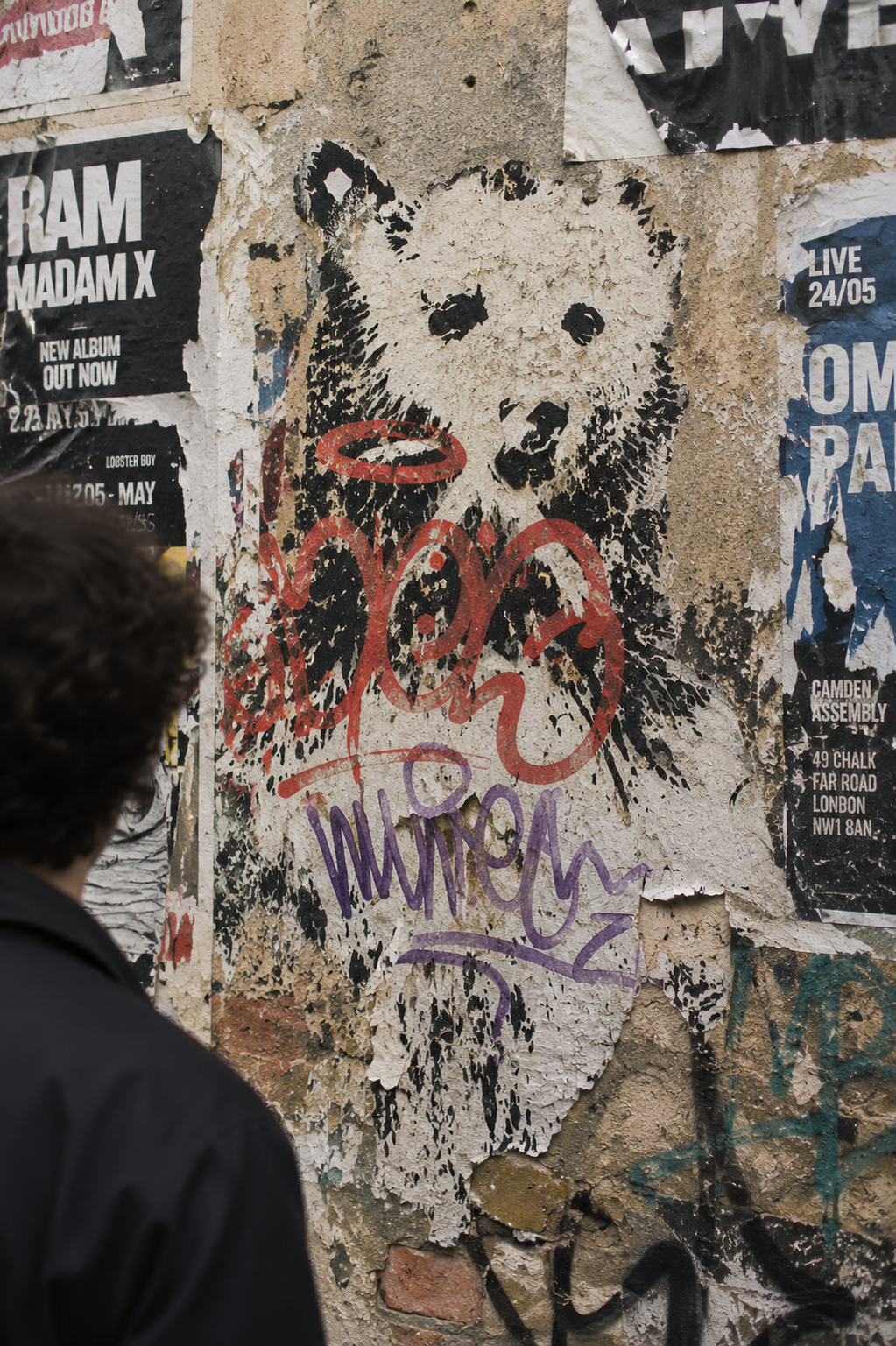 Person looking at a weathered bear stencil amid torn gig posters and graffiti.